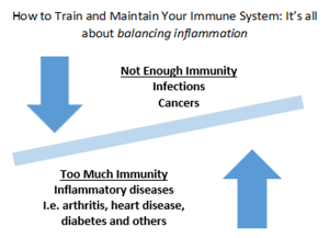 How to Train and Maintain Your Immune System